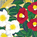Akiyo Ogasawara Gallery